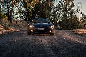 New Member, who wants some BOOOST !-ssss-1-1-.jpg