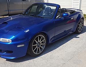 Just sayin hello,-20180807_140858.jpg