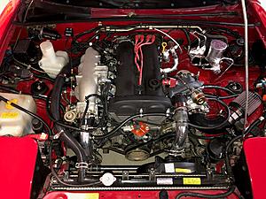 Noob in Minnesota-engine-bay.jpg