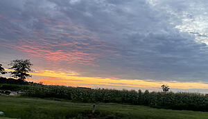 Newcomer with a classic red 91 na-6fb31ab0-e5a4-4244-b1f5-df88b9ad5800.jpeg