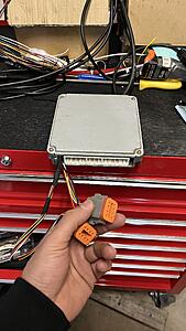 Forum Noob w/ ITB NB named Scooter-img_5176.jpg