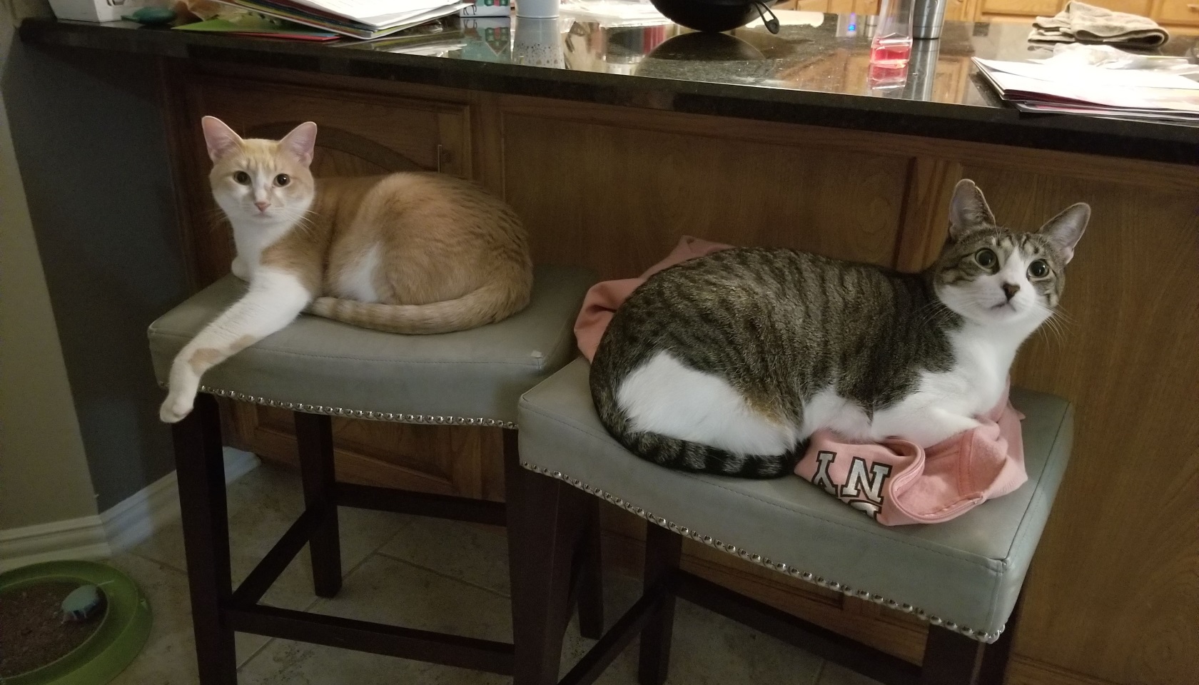 Name:  TPBDsEm.jpg
Views: 41
Size:  412.5 KB