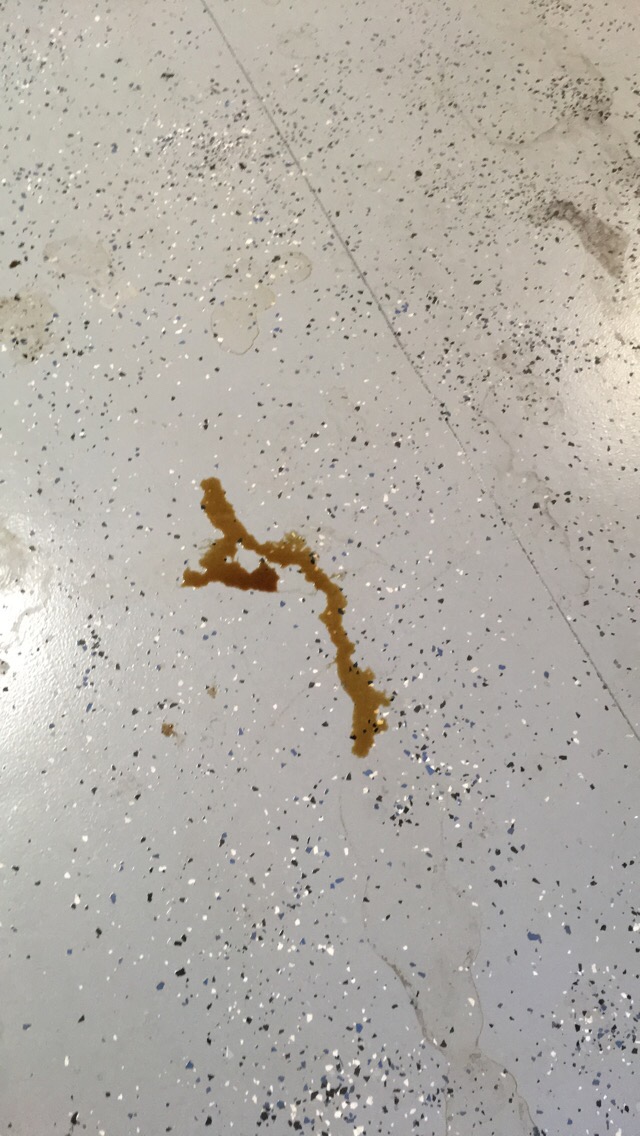 Name:  ns3K9oT.jpg
Views: 63
Size:  217.4 KB