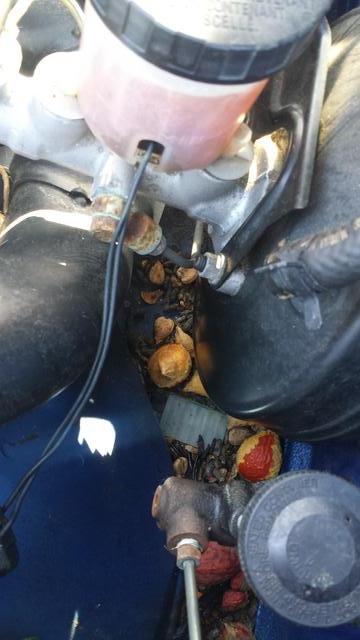 Name:  E57P4FU.jpg
Views: 65
Size:  32.1 KB