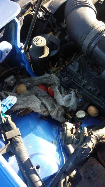 Name:  165VO6P.jpg
Views: 63
Size:  43.3 KB