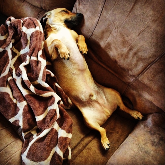 Name:  reu4rDU.jpg
Views: 25
Size:  212.1 KB