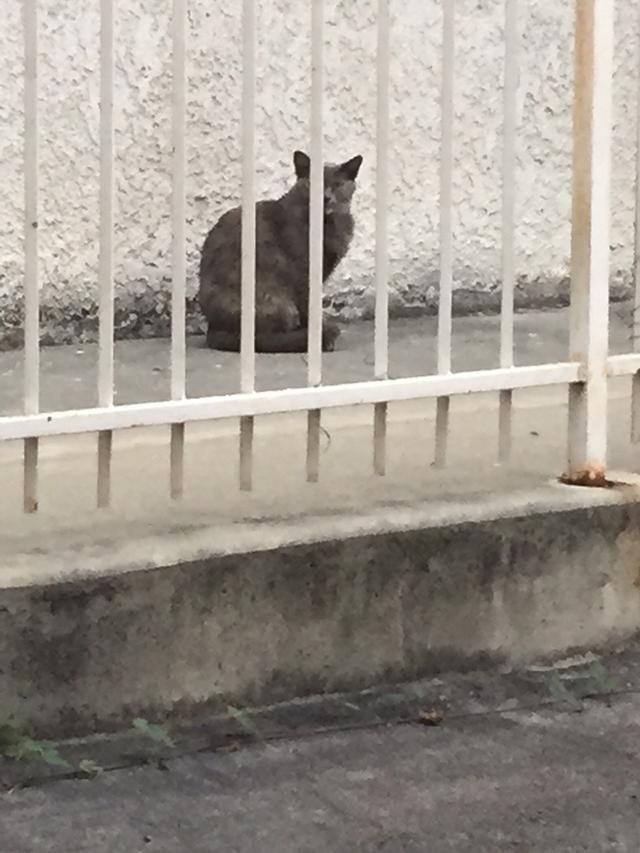 Name:  qsSn8TR.jpg
Views: 35
Size:  62.1 KB