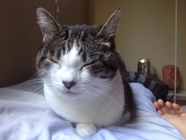 Name:  HnLxaG9.jpg
Views: 34
Size:  30.9 KB