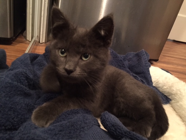 Name:  QNEgWvG.jpg
Views: 35
Size:  77.9 KB