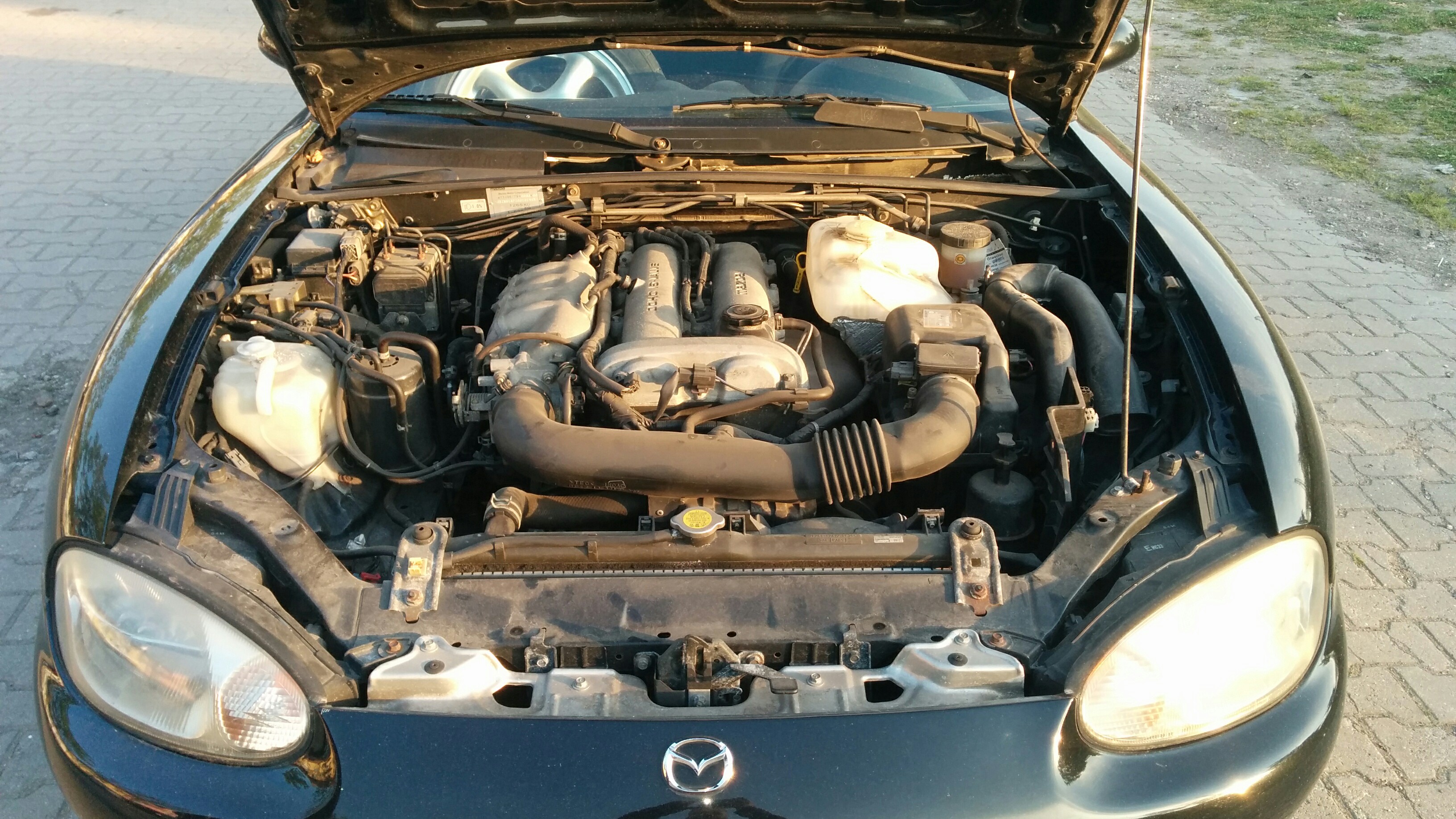 Name:  0UHdFqa.jpg
Views: 28
Size:  1.28 MB