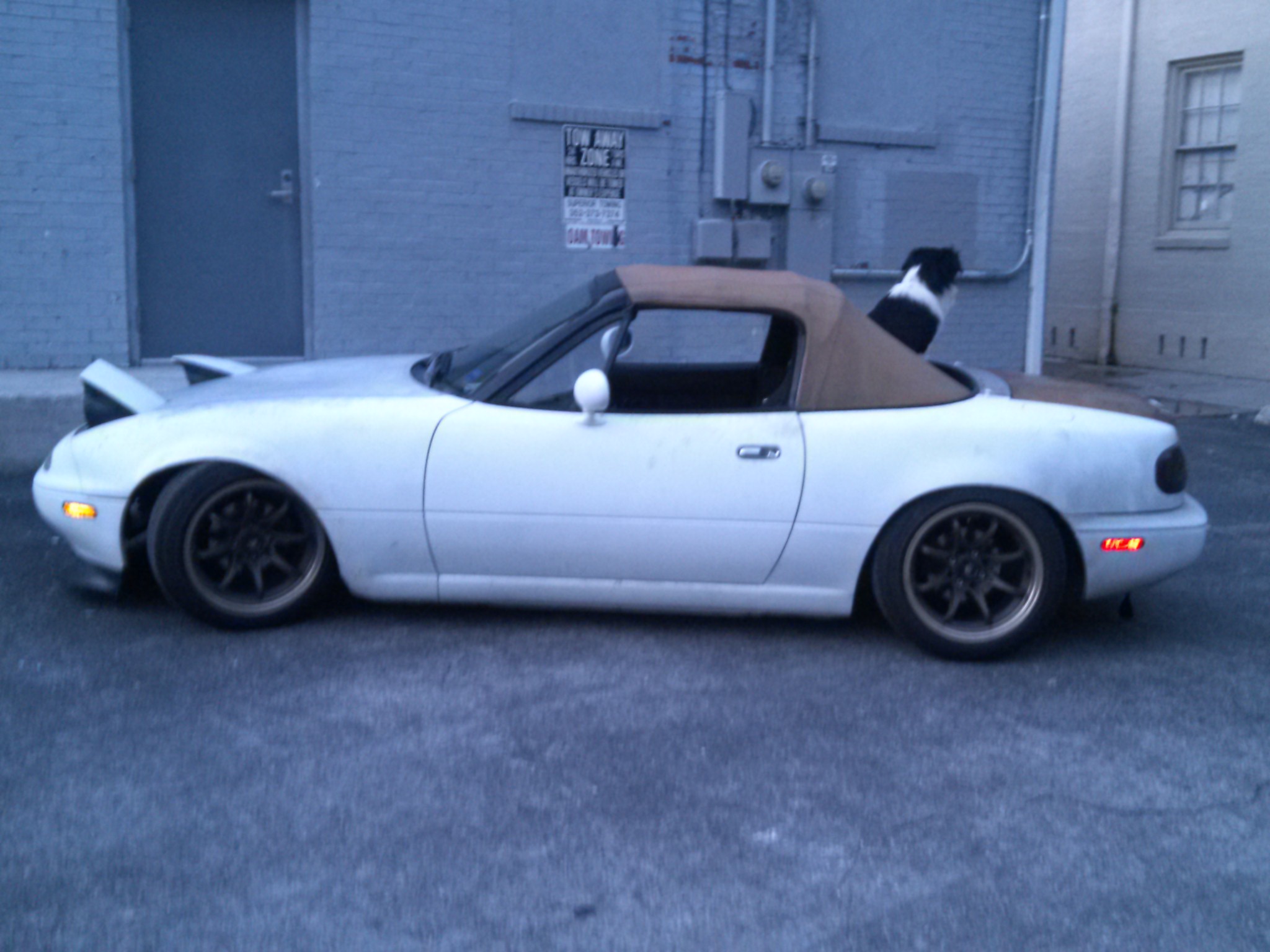 Name:  oCAefOZ.jpg
Views: 19
Size:  349.3 KB