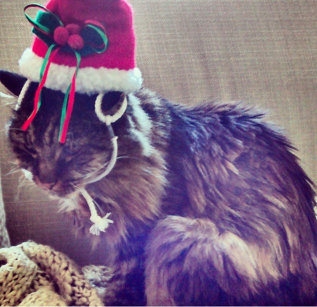 Name:  1o4C2Bm.jpg
Views: 24
Size:  144.3 KB