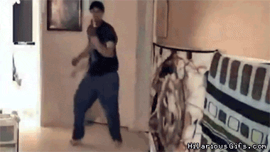 Name:  RKaK6.gif
Views: 14
Size:  1.41 MB