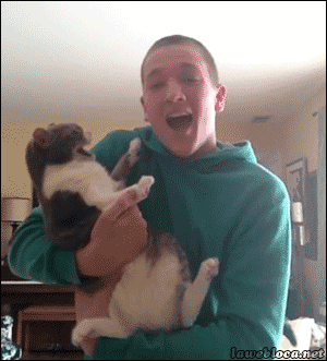 Name:  F0X3qUw.gif
Views: 23
Size:  1.93 MB