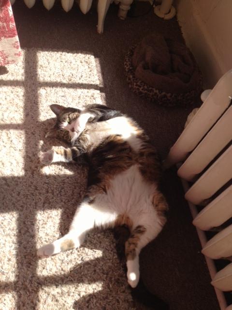 Name:  1JChuCk.jpg
Views: 130
Size:  43.7 KB