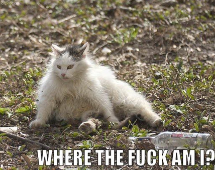 Name:  RVaX2.png
Views: 81
Size:  408.9 KB