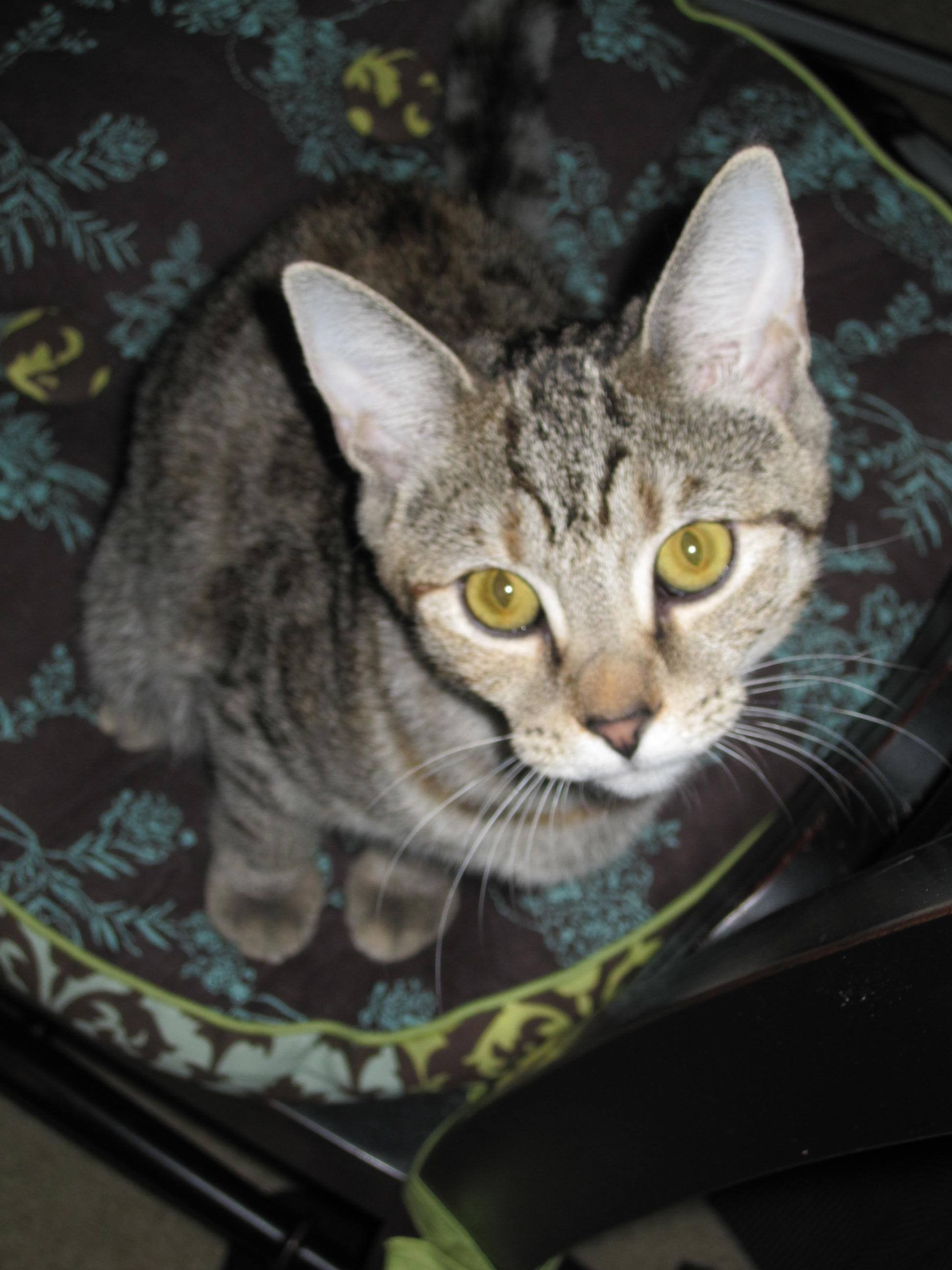 Name:  g3PwA.jpg
Views: 41
Size:  366.1 KB