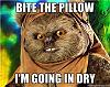 sup, ASL?-bite-pillow-im-going-dry.jpg