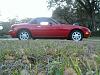 New to the Miata, Not to Mazda!-397697_10151598950703765_653496644_n.jpg