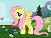 Hey guys from Washington-mlpfim-character-fluttershy_570x420.jpg