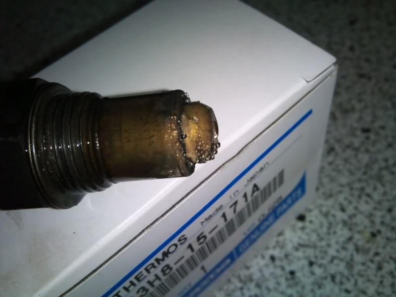 Name:  DSC_0146_1.jpg
Views: 277
Size:  41.1 KB