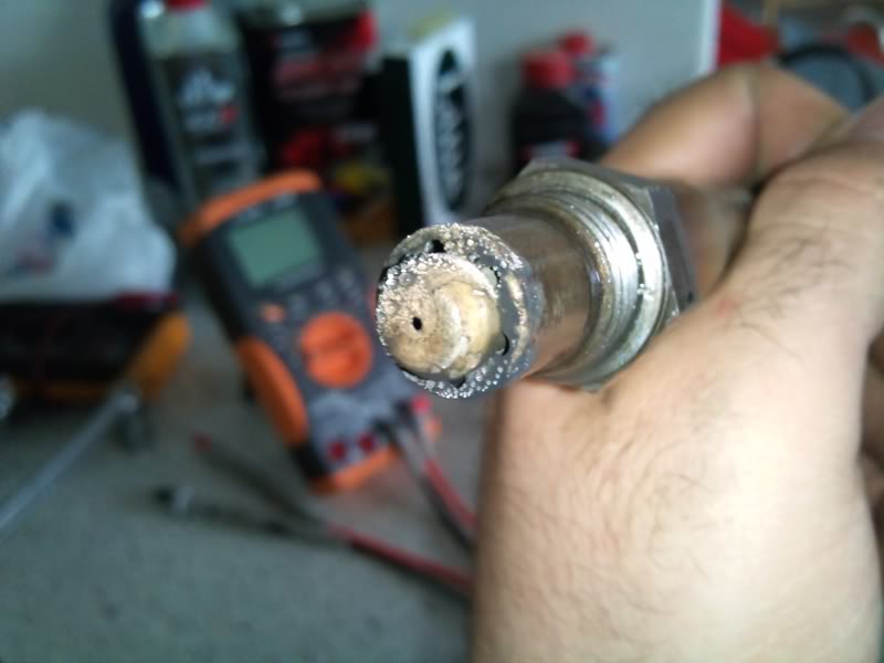 Name:  DSC_0145_1.jpg
Views: 390
Size:  36.9 KB