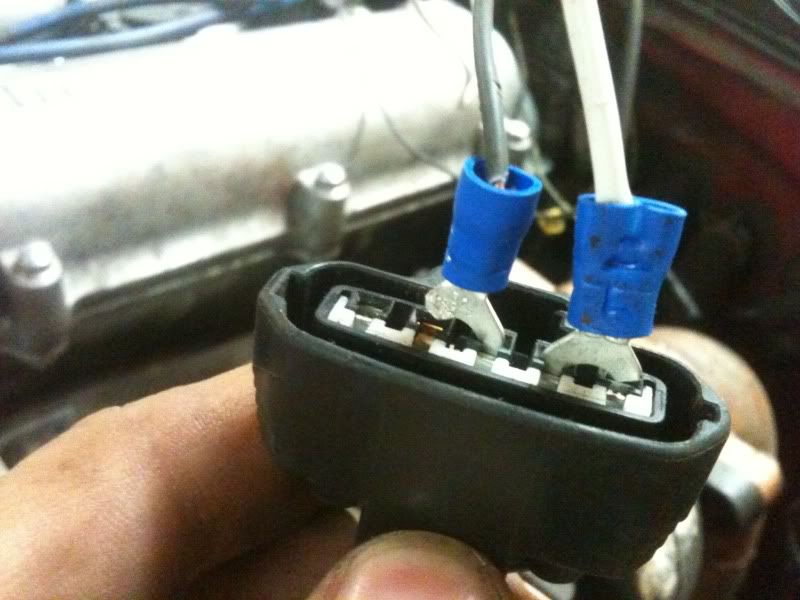 Name:  20f843fb.jpg
Views: 97
Size:  66.4 KB