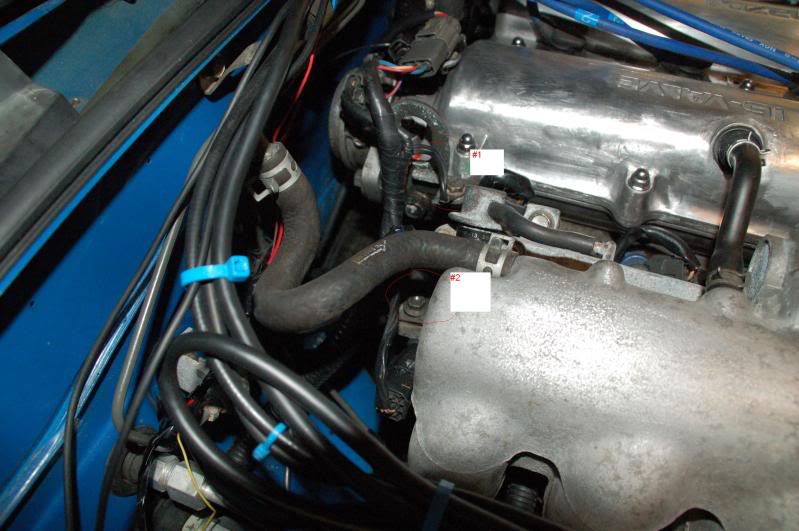 Name:  DSC_0422.jpg
Views: 94
Size:  92.7 KB