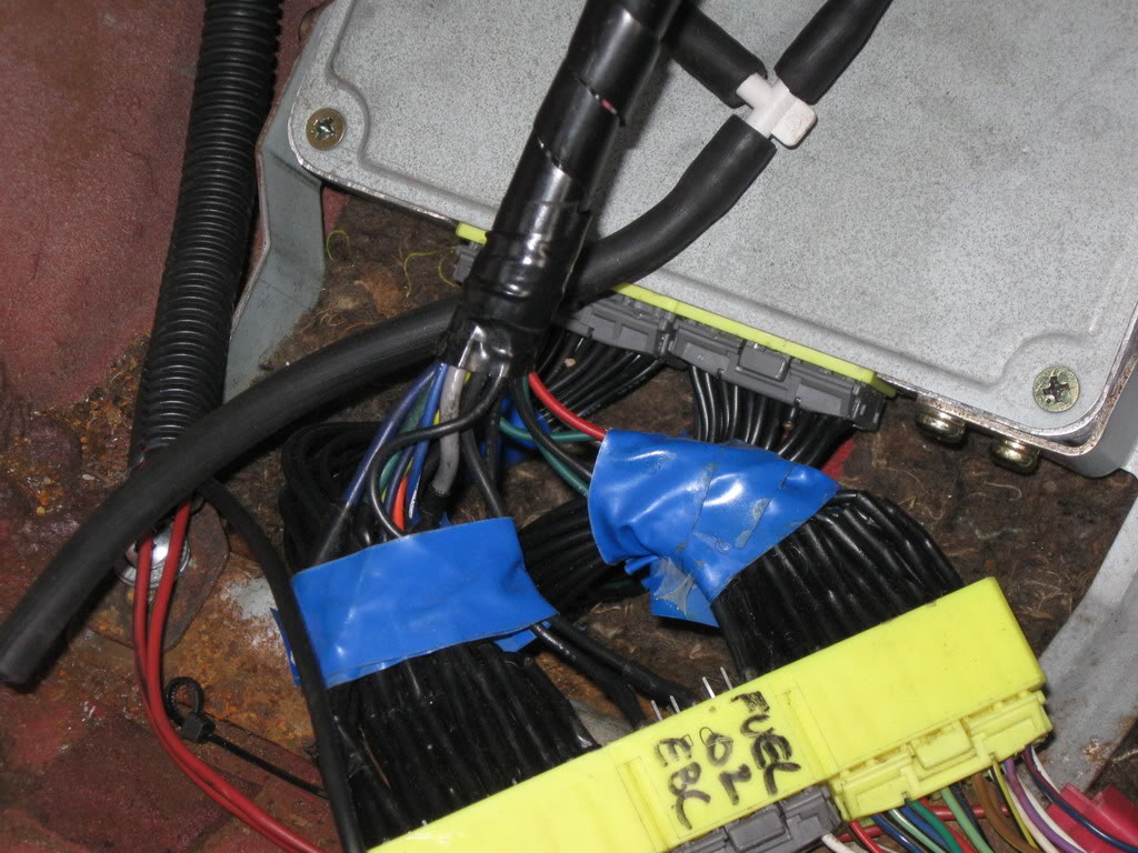 Name:  IMG_0091.jpg
Views: 220
Size:  158.6 KB