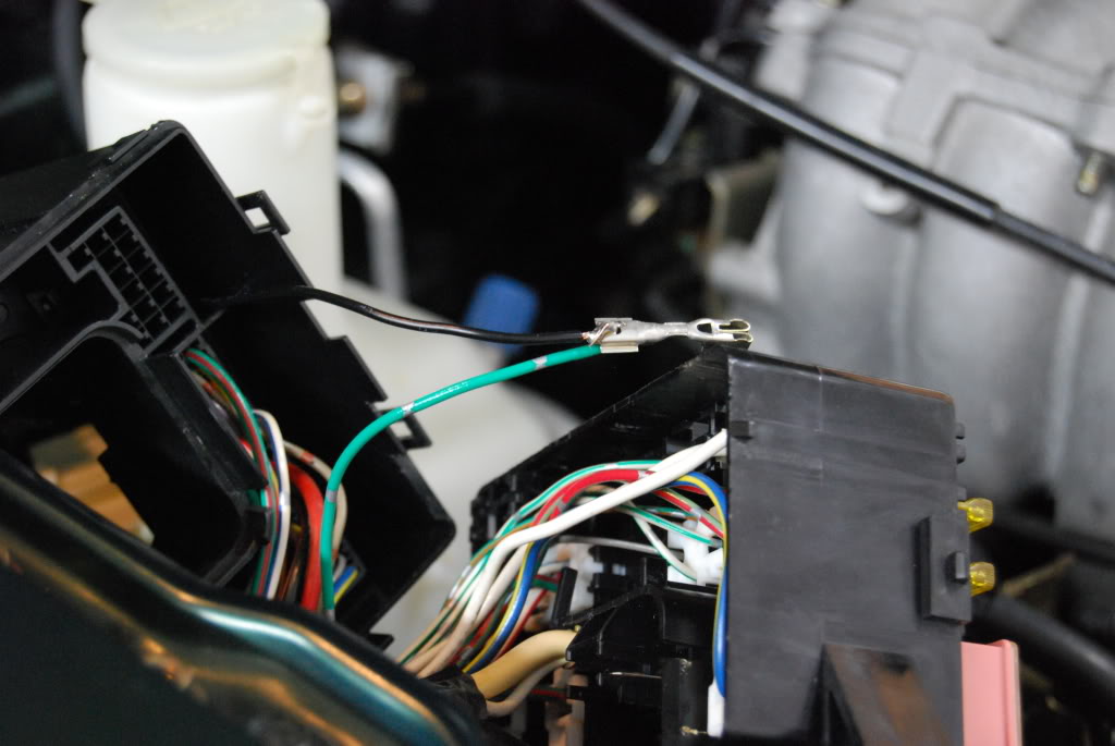 Name:  DSC_1420.jpg
Views: 569
Size:  101.2 KB