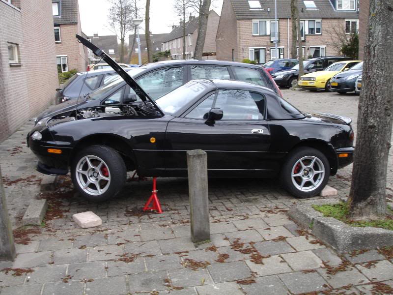 Name:  DSC00863.jpg
Views: 76
Size:  96.3 KB