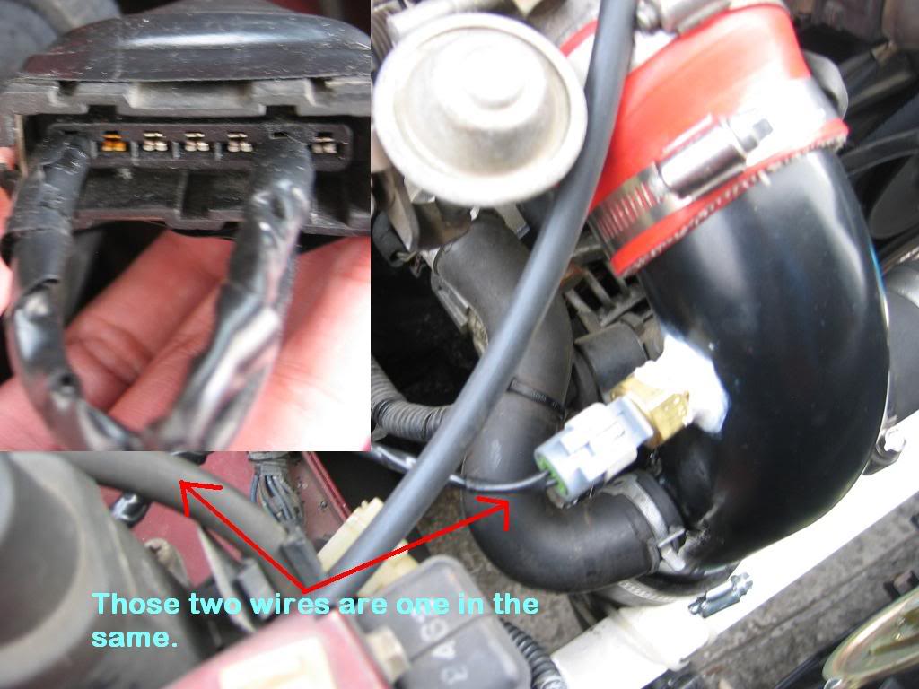 Name:  IMG_2192.jpg
Views: 54
Size:  88.8 KB