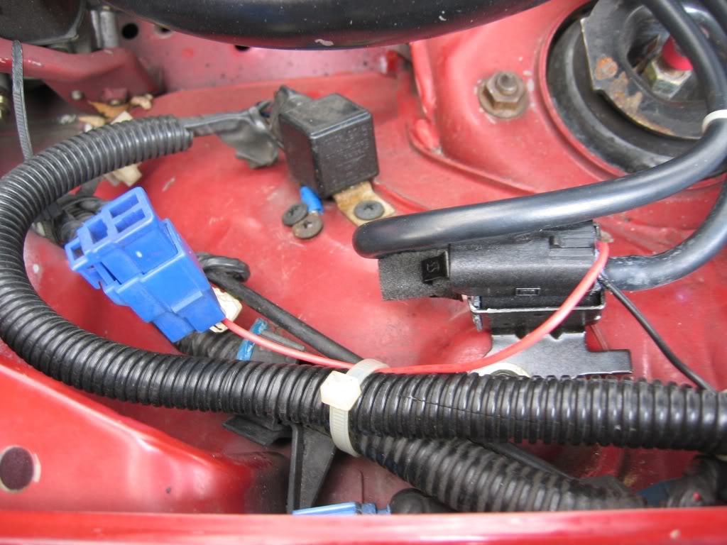 Name:  IMG_2195.jpg
Views: 51
Size:  110.7 KB