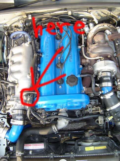 Name:  DSC01922-1-1.jpg
Views: 51
Size:  72.2 KB