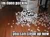 A better Spark Out circuit.-funny-cat-pictures-animal-humor-935493_500_375.jpg