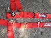 G-force 4-point harness-img_2116.jpg