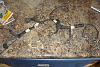 1997 fuel injector harness-036_zps5ece316d.jpg