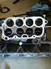 FS: Ported 99 intake manifold-f6316163-11bd-4670-bcf9-88885ff00683.jpg