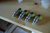 FS:  305cc green top injectors     Shipped-2.jpg