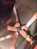 Sparco 6 point Seat Belt Harness-img_0340.jpg