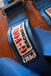 6-point Harness for autocross or HPDE-770a1138.jpg