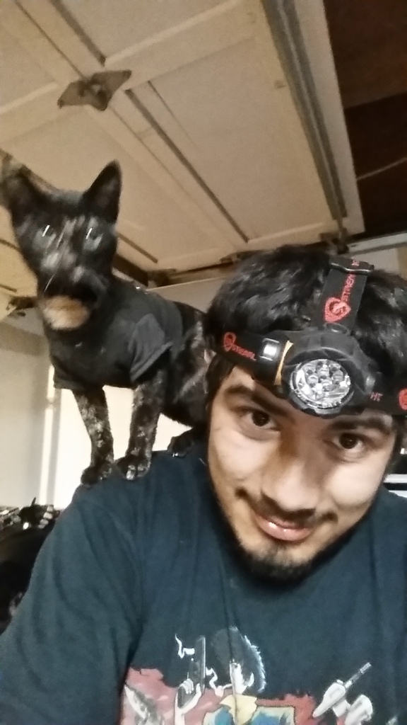 Name:  20160912_224927.jpg
Views: 434
Size:  177.7 KB