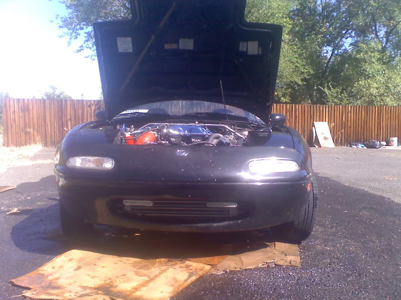 Name:  Us_0232.jpg
Views: 53
Size:  101.4 KB