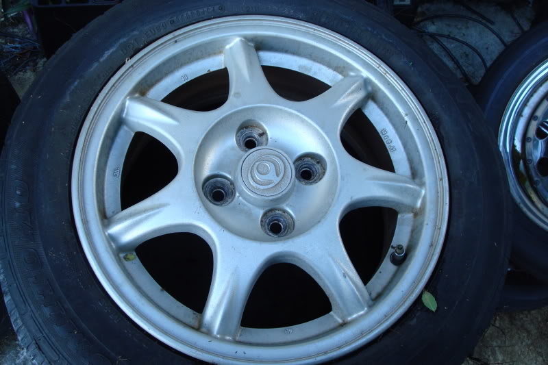 Name:  ZooMiami173.jpg
Views: 40
Size:  82.8 KB