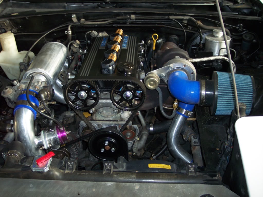 Name:  100_3318.jpg
Views: 946
Size:  139.7 KB