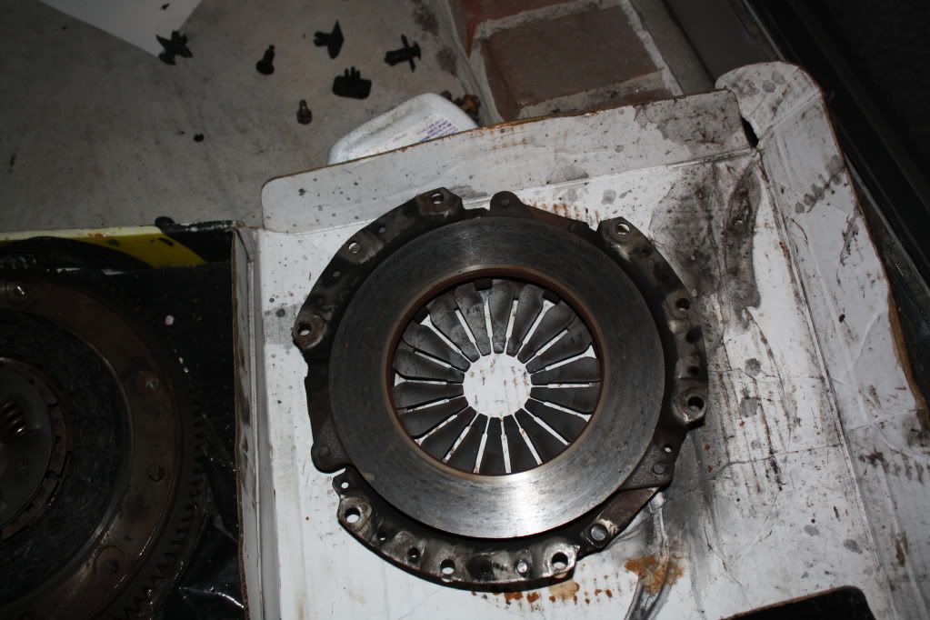 Name:  IMG_2559.jpg
Views: 75
Size:  116.4 KB