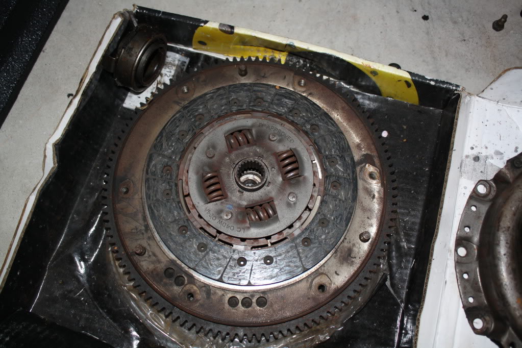 Name:  IMG_2557.jpg
Views: 58
Size:  153.7 KB