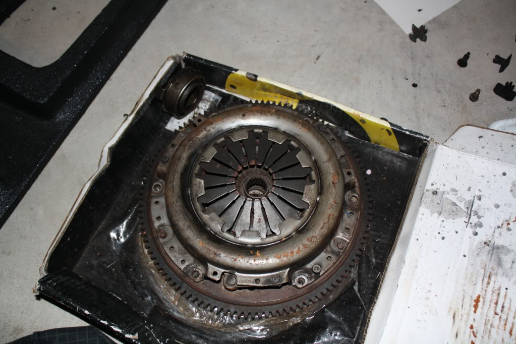 Name:  IMG_2556.jpg
Views: 59
Size:  125.8 KB