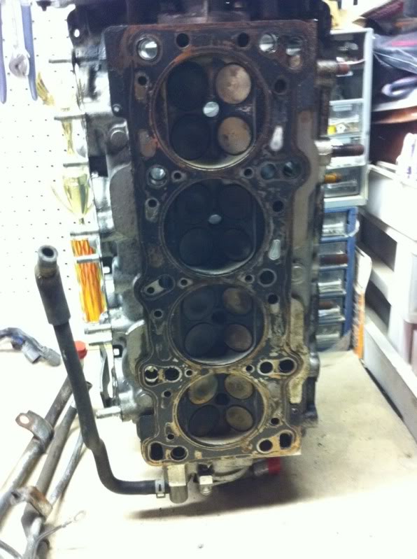 Name:  b6c38901.jpg
Views: 70
Size:  74.0 KB