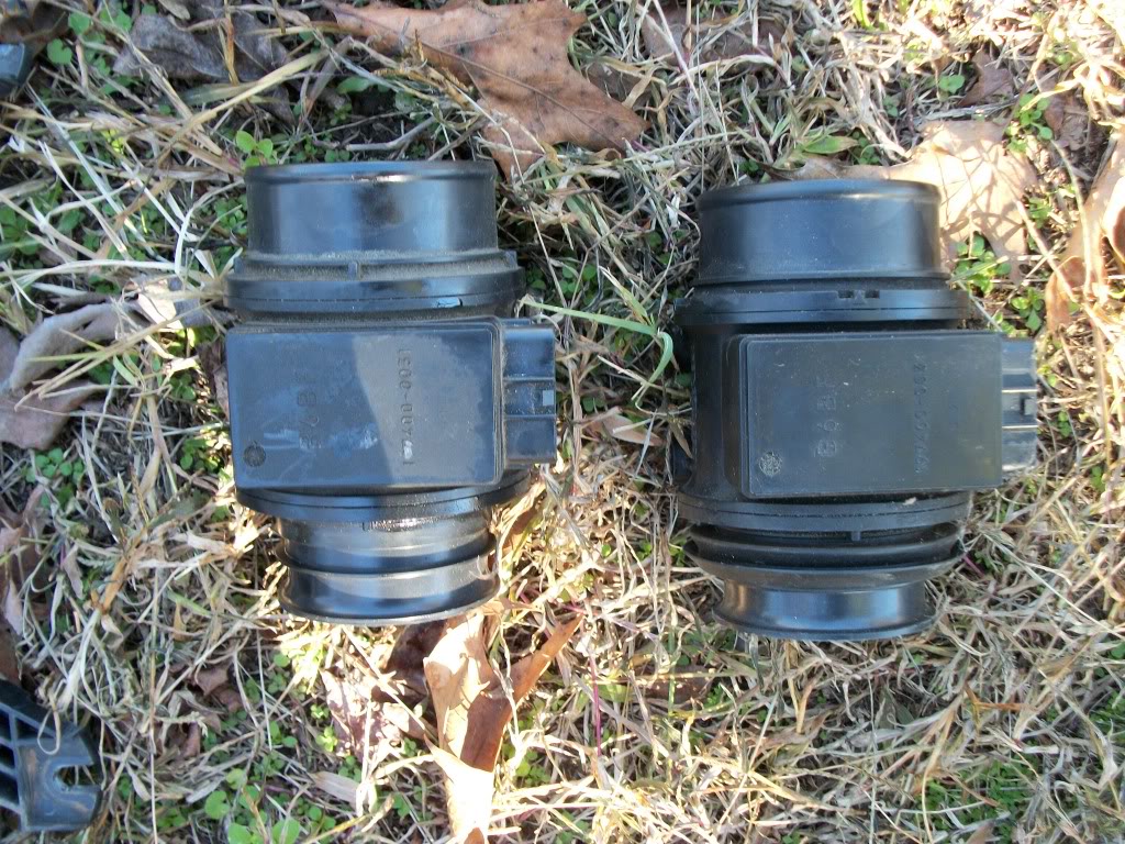 Name:  100_0503.jpg
Views: 68
Size:  269.3 KB